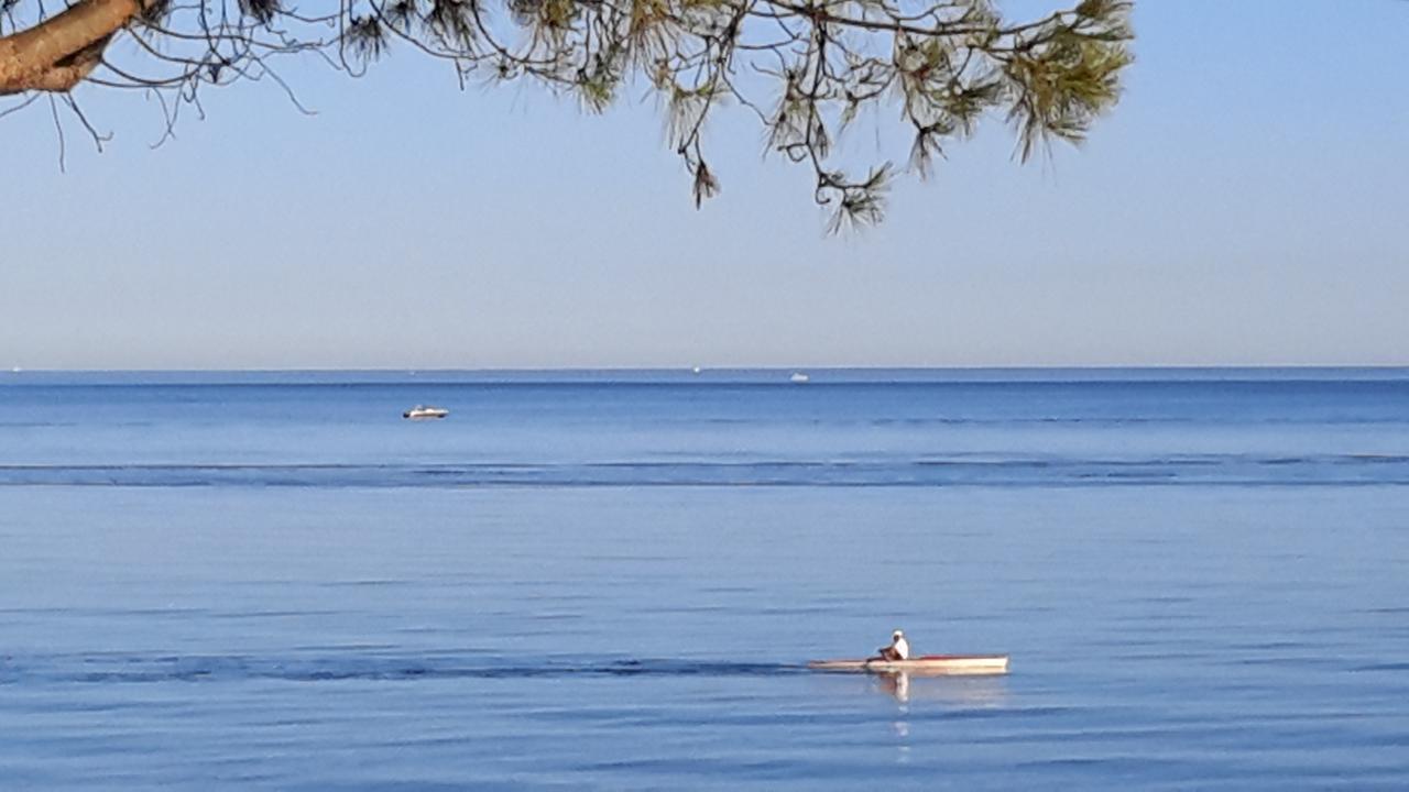 Appart Bleu Azur Saint-Florent  Zewnętrze zdjęcie